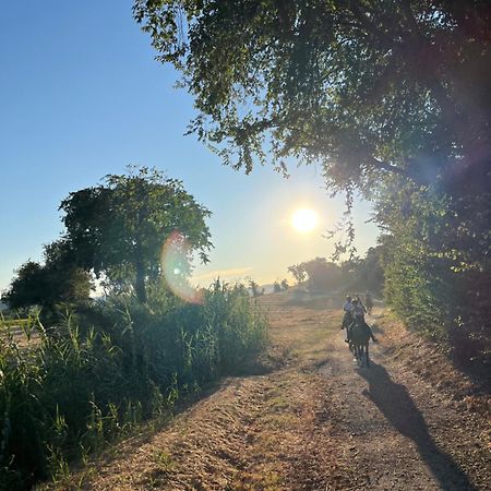 Agriturismo Hornos ヌマーナ エクステリア 写真