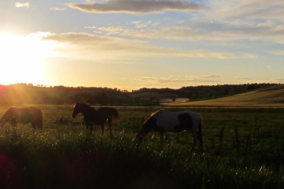Agriturismo Hornos ヌマーナ エクステリア 写真