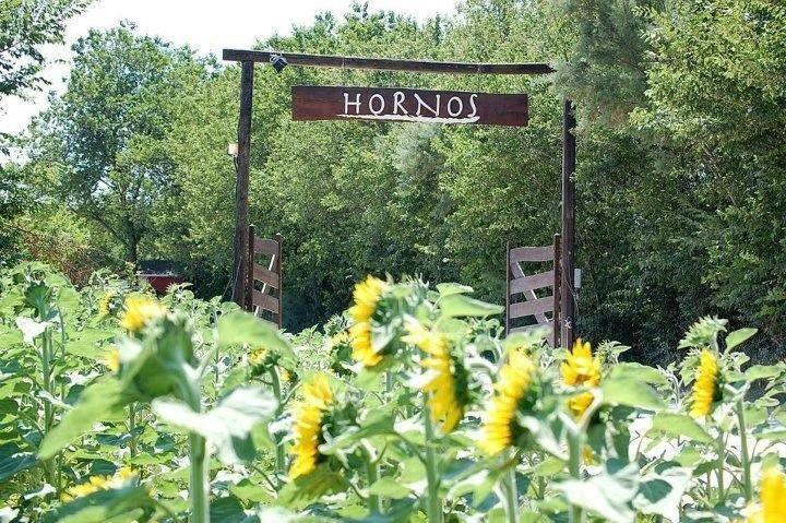 Agriturismo Hornos ヌマーナ エクステリア 写真